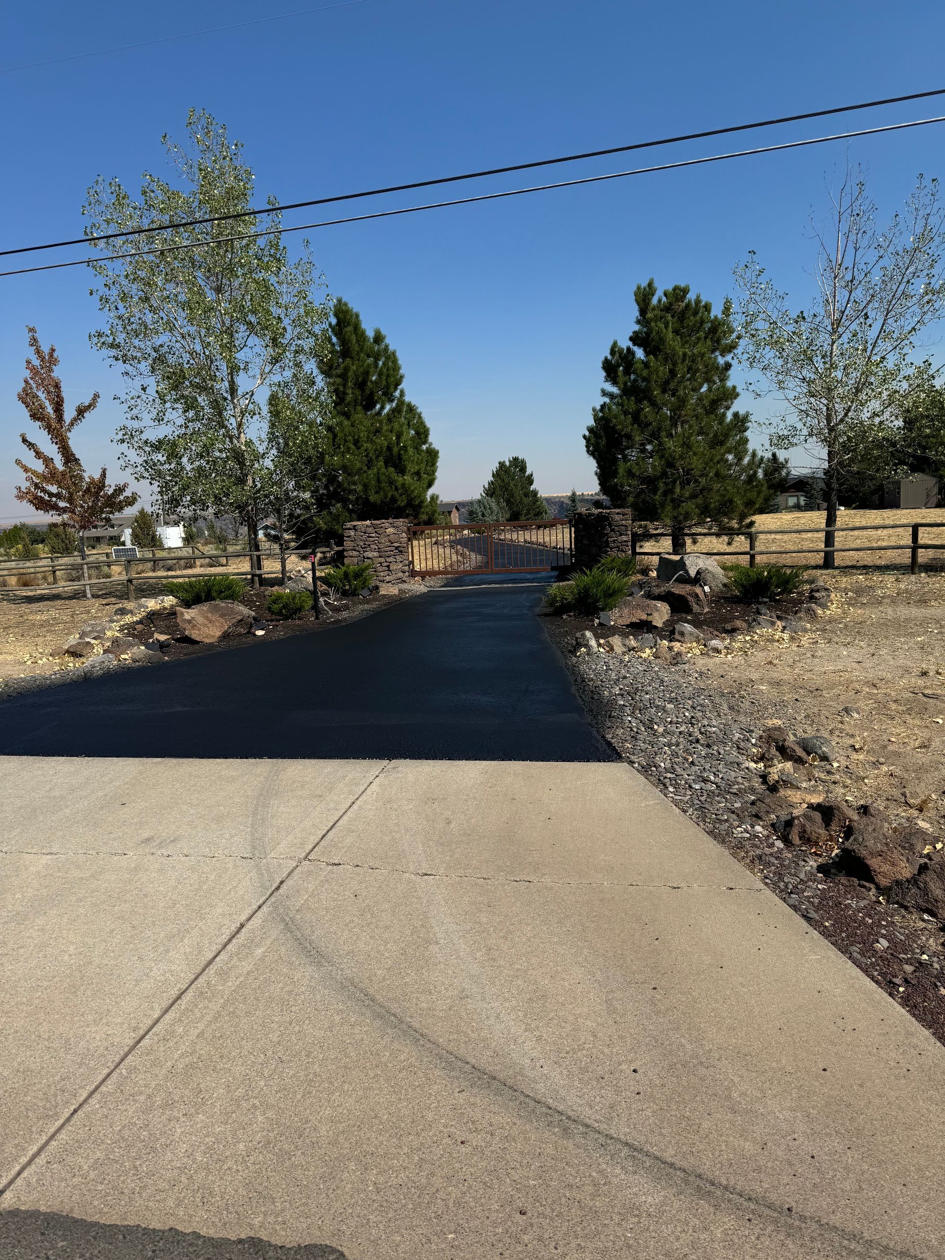A concrete driveway with trees on the side of it