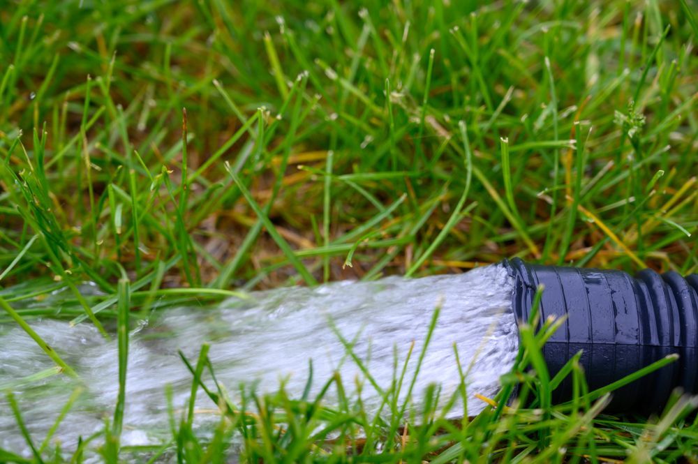Un tuyau pulvérise de l'eau sur une pelouse verte luxuriante.