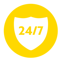 24/7 security service badge for Bald Eagle Security