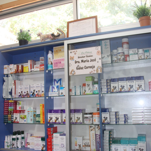 Estanterías de farmacia con cajas y frascos de medicamentos surtidos detrás de un mostrador de cristal.