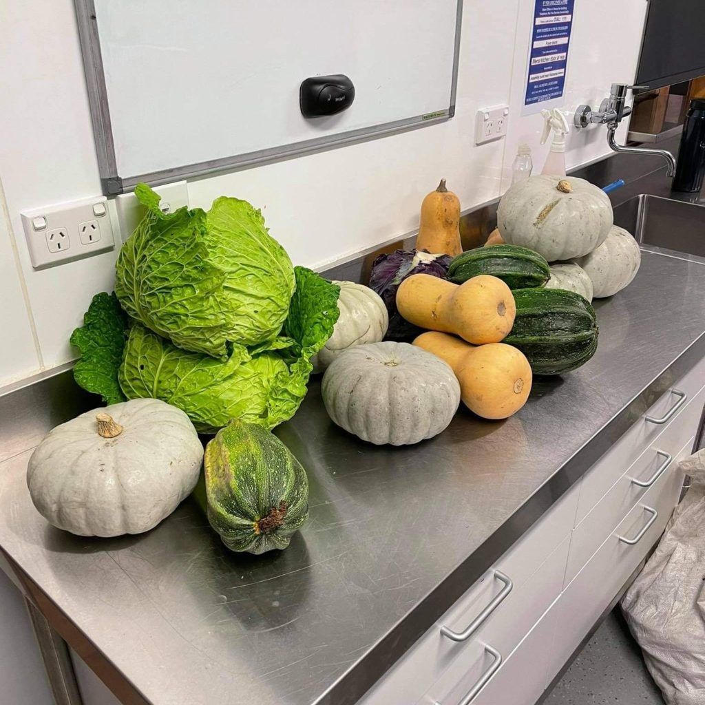 A bunch of vegetables are sitting on a stainless steel counter.