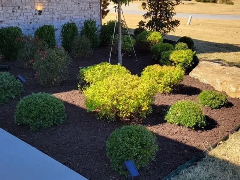 landscape clean ups in springdale ar