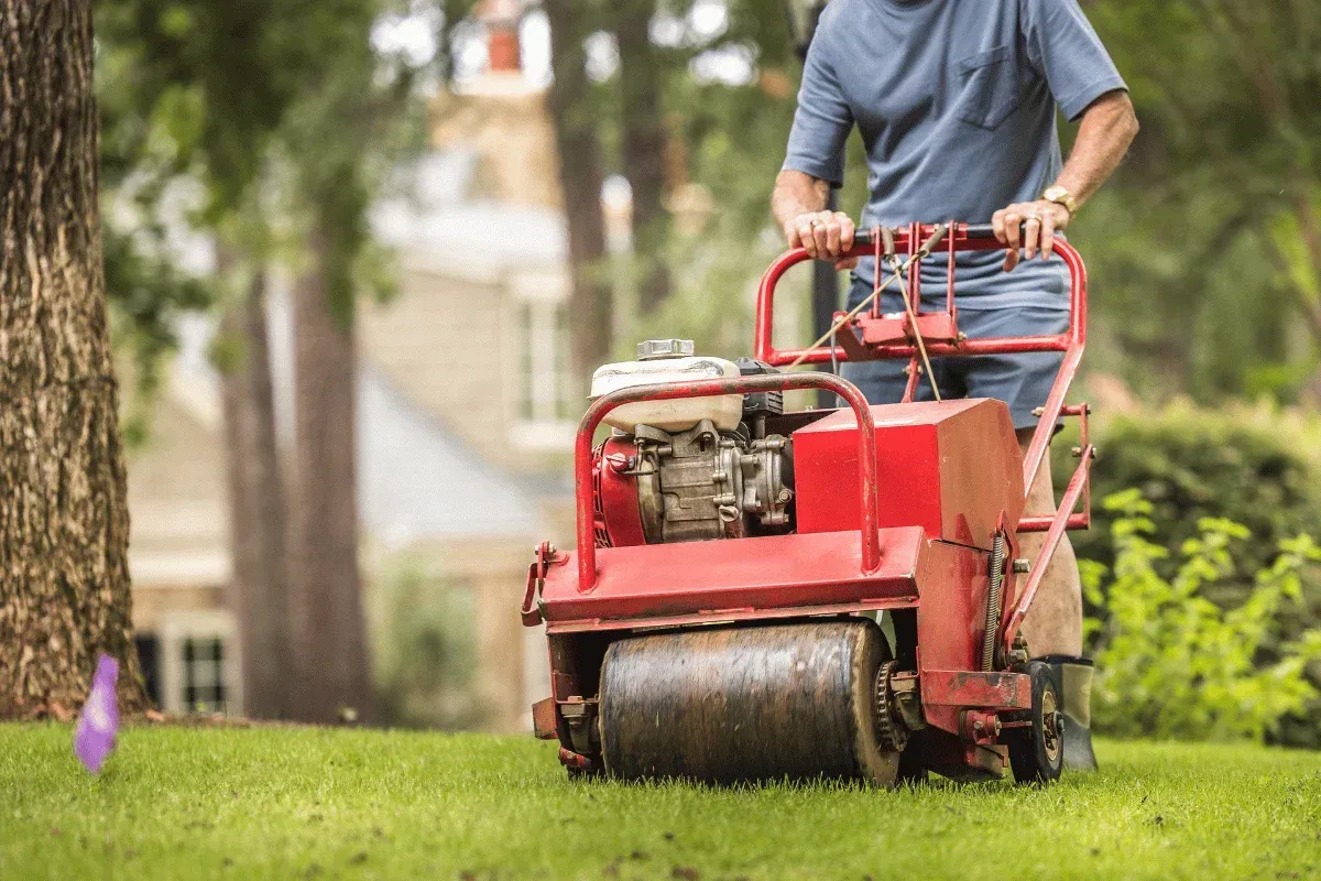 aerate and overseed your lawn in arkansas