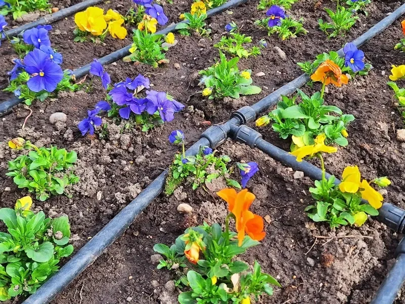 drip irrigation conversion in springdale ar