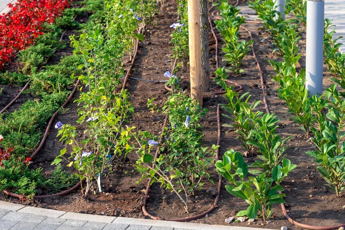 drip irrigation installers in springdale ar