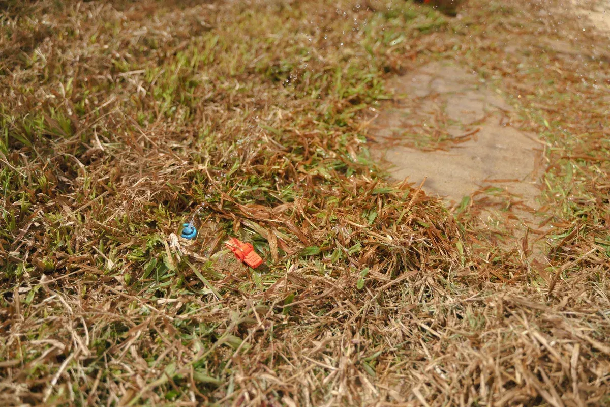 irrigation system leak detection in springdale ar