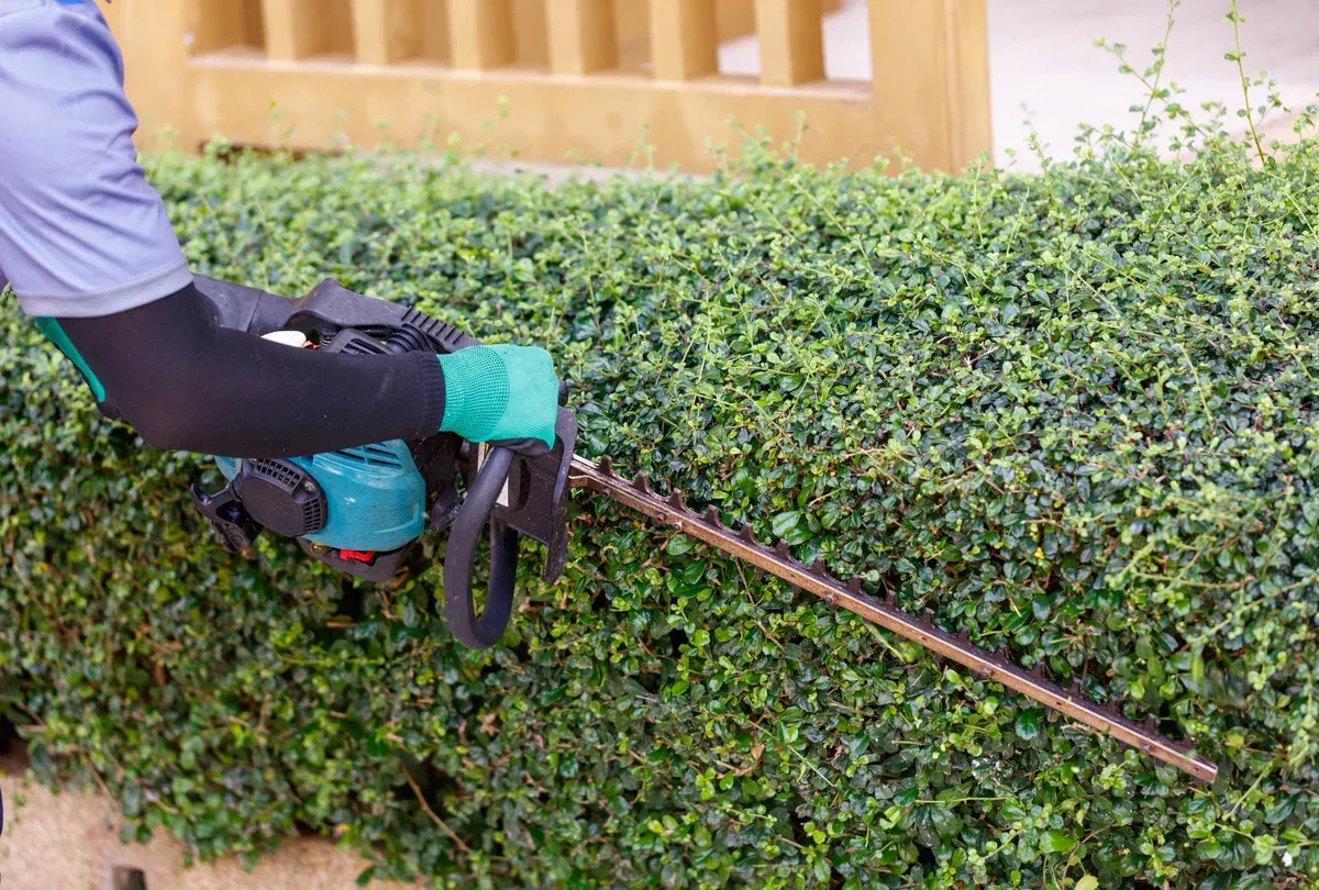 landscape clean up services in springdale ar