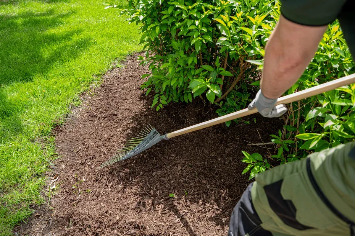 landscape clean up solutions in springdale ar