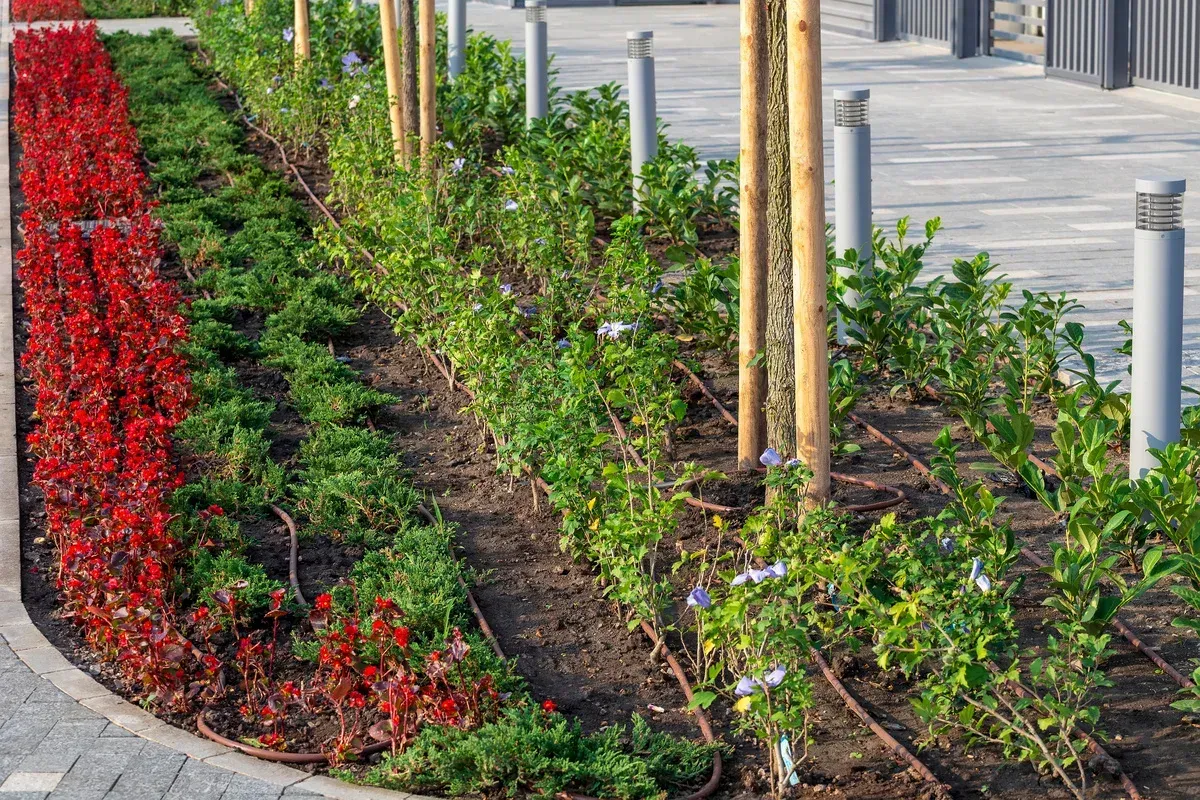 landscape drip irrigation conversion in springdale ar