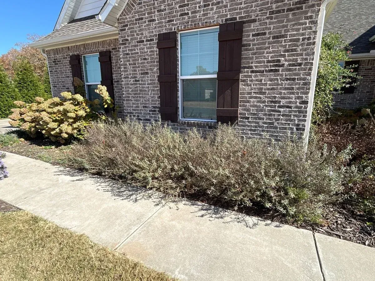 landscaping services in prairie grove ar