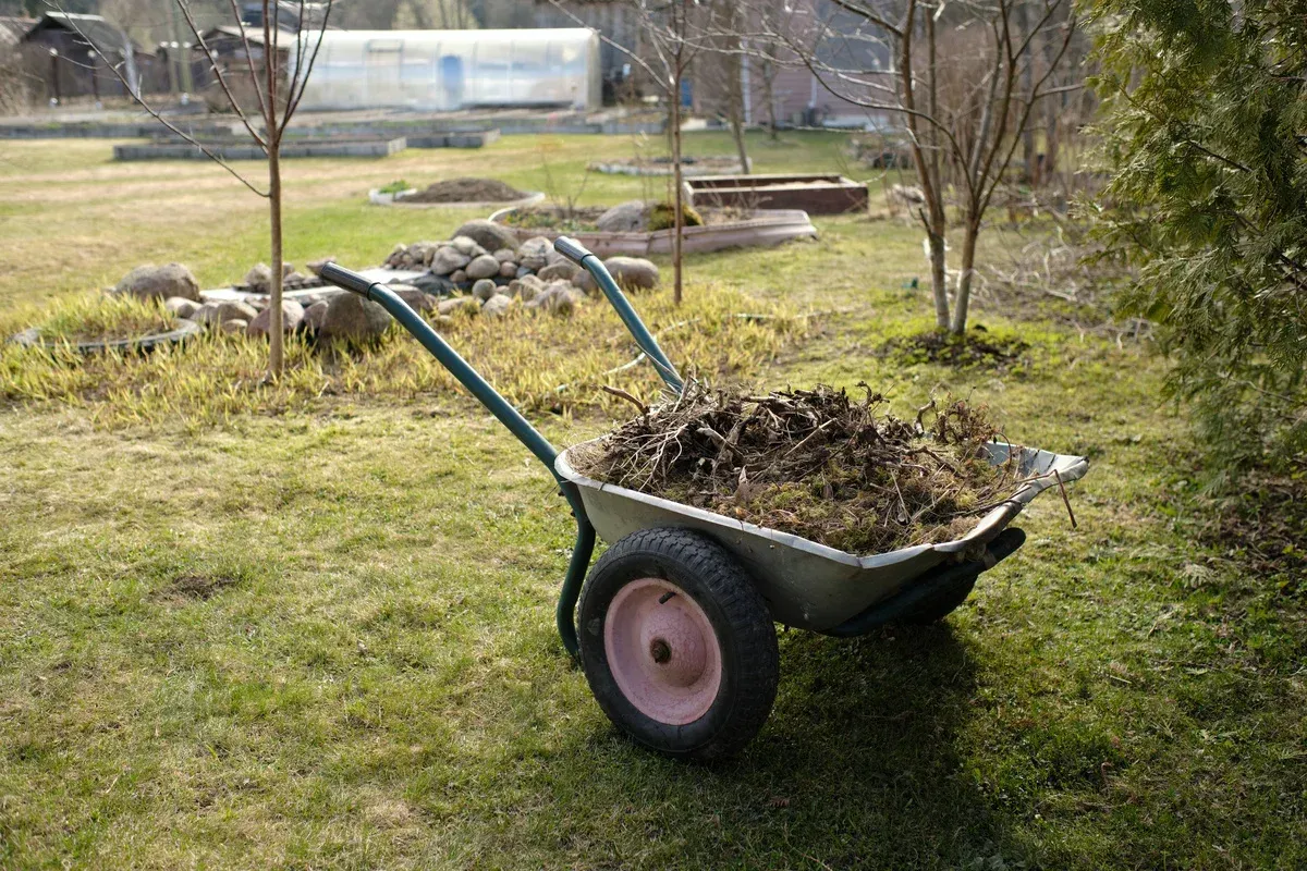 lawn cleanup in springdale ar