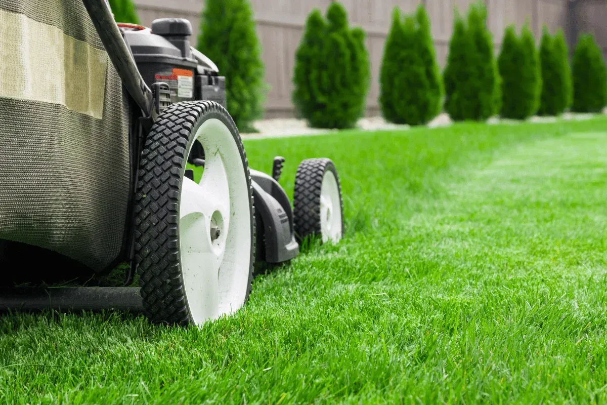 lawn mowing seasonal guide springdale ar