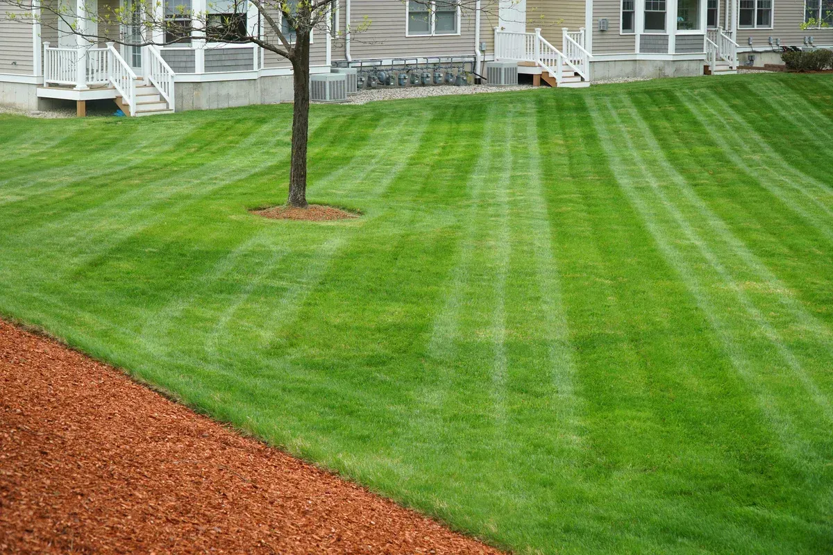lawn mowing in springdale ar