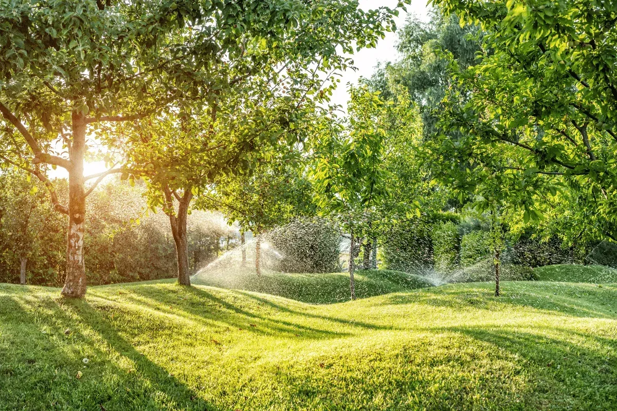 sprinkler system installation in springdale ar