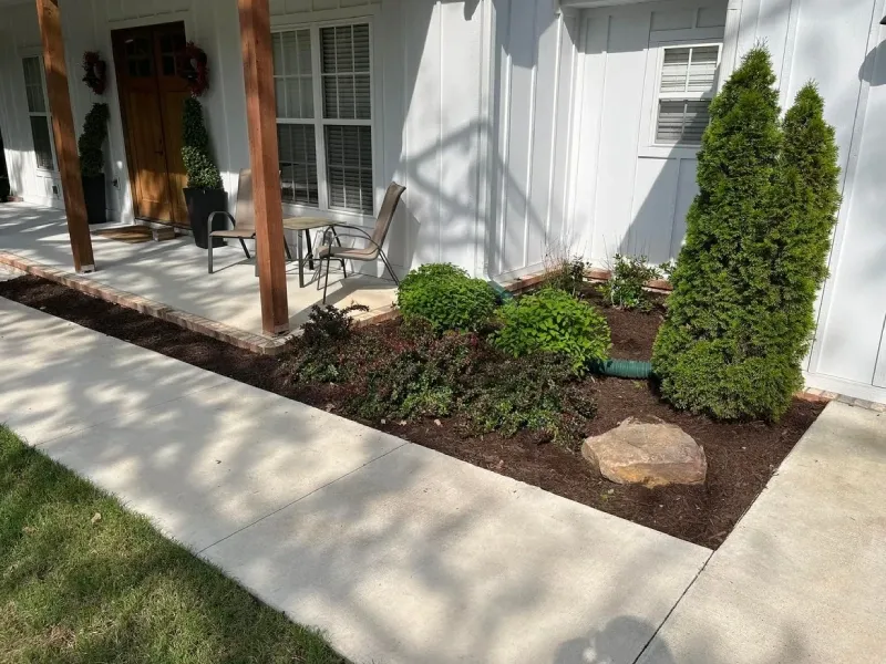 tree and shrub fertilization in springdale ar