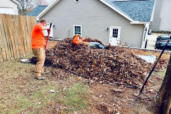 yard cleanups in springdale ar