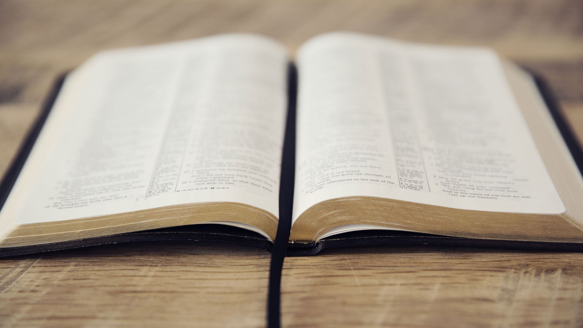 Open book on a wooden table with pages spread flat