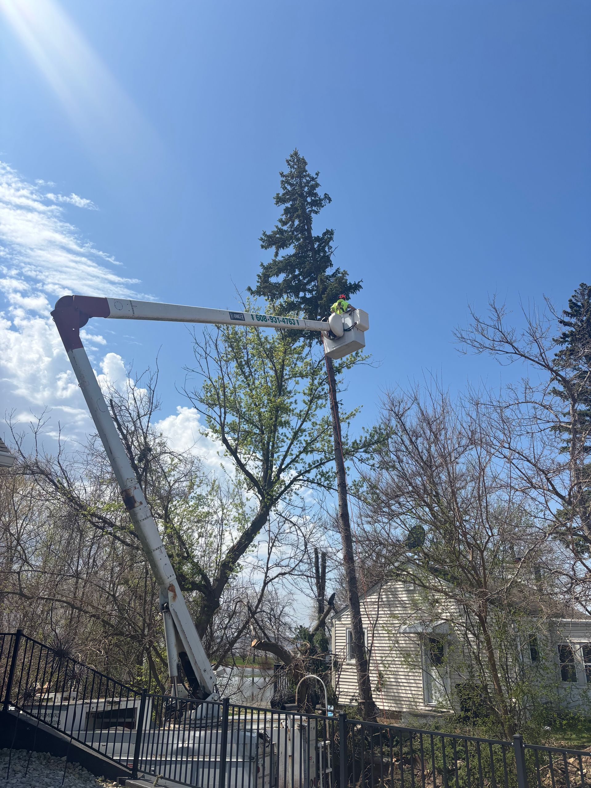 Anytime Outdoor Services performing tall evergreen tree trimming with a bucket truck near a home in Fort Atkinson, WI.