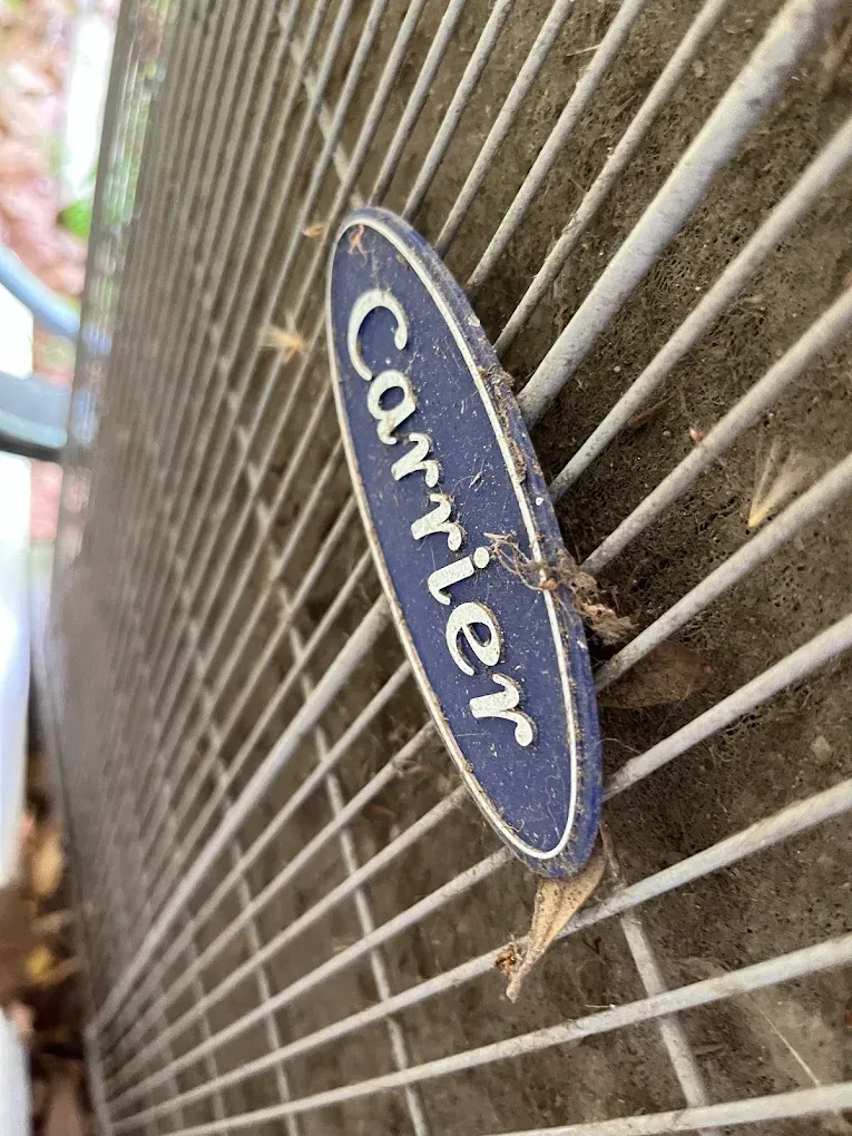 Close-up of a Carrier air conditioner grille with a blue oval logo.