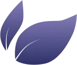 Leaves Icon