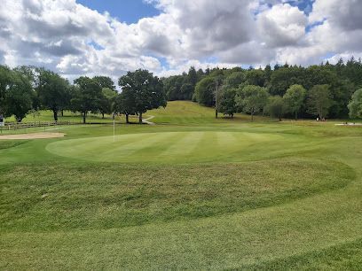 Golf course green with flagstick, surrounded by trees under a cloudy sky