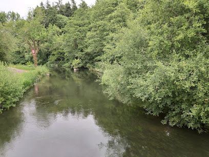 Calm river bordered by lush green trees and shrubs under an overcast sky