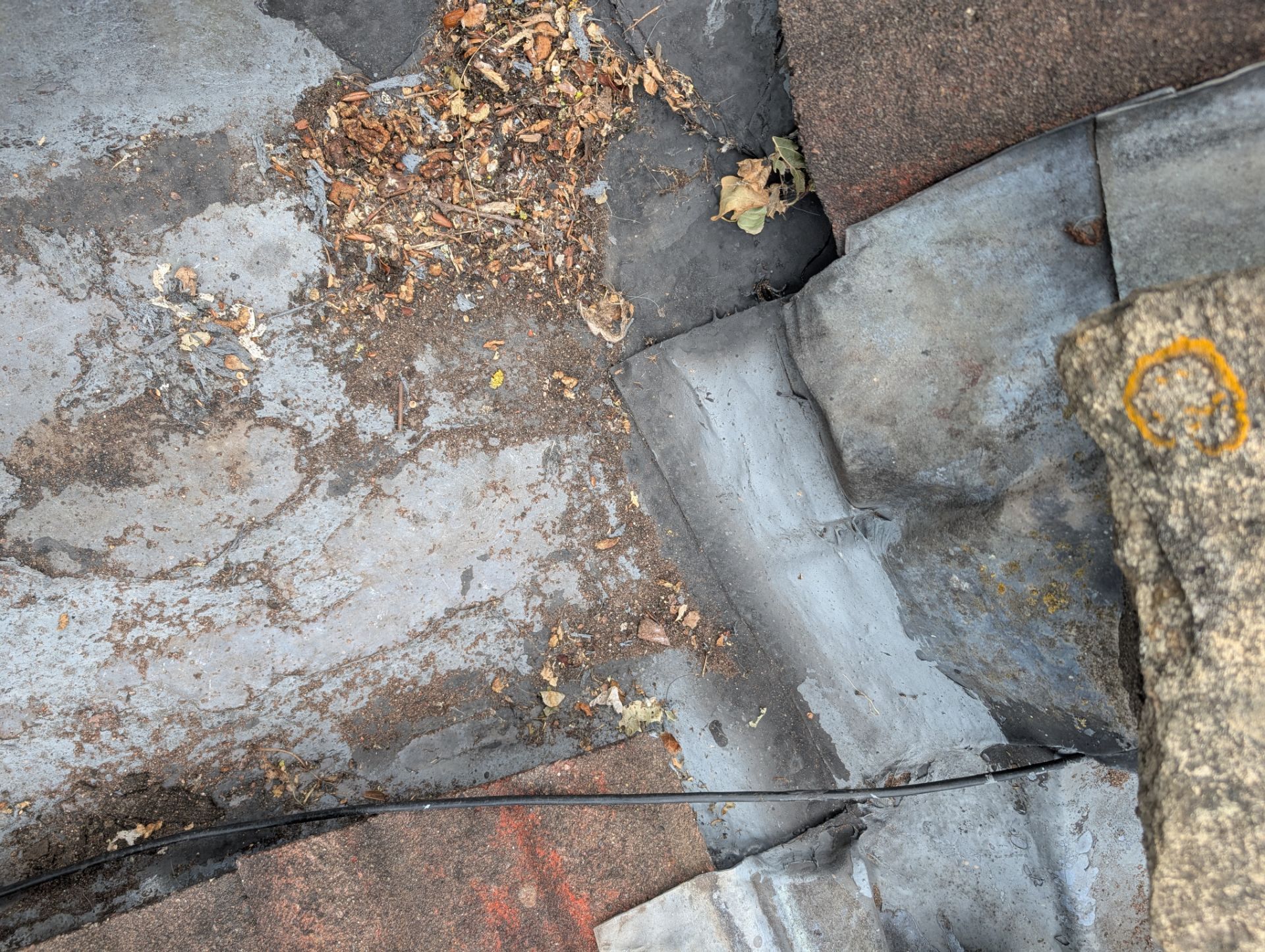 Cracked concrete pavement with dry leaves and a yellow chalk mark on the right side