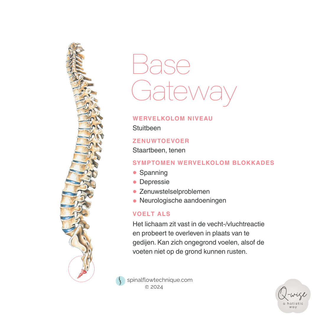 Poster over de anatomie van de wervelkolom met de titel 