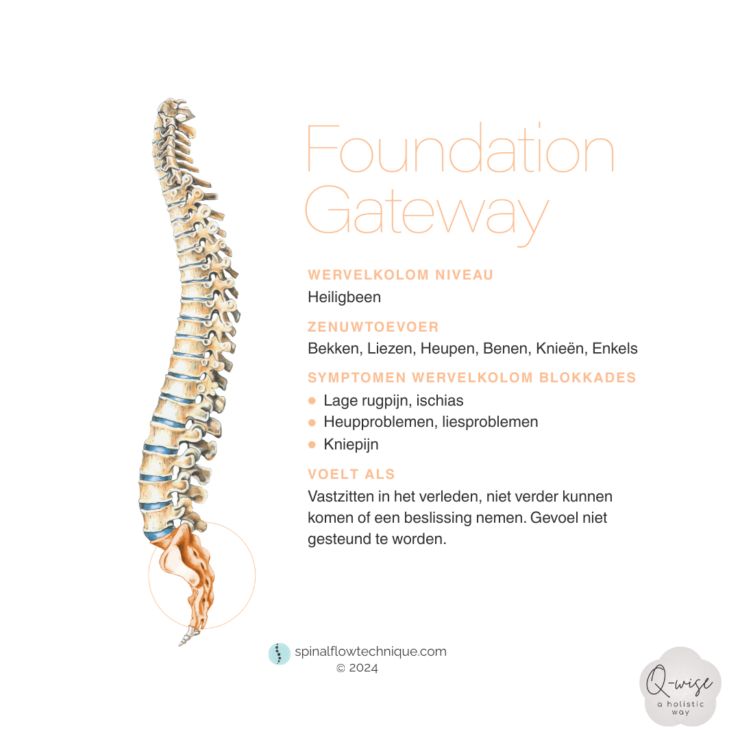 Poster voor de Foundation Gateway chiropractiekliniek met een illustratie van de wervelkolom en oranje accenten.