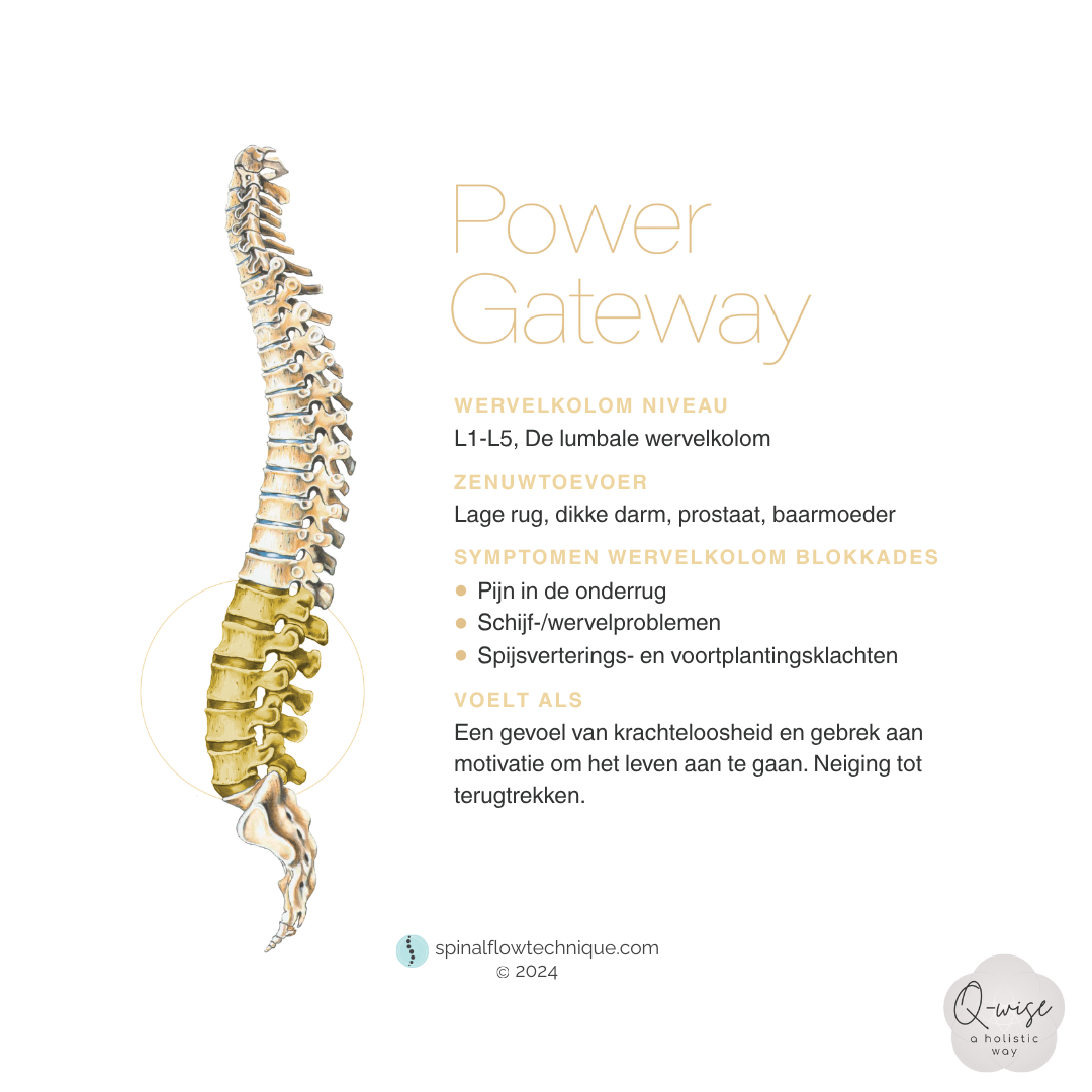 Power Gateway wellnessposter met illustratie van de ruggengraat en gele accenttekst op een witte achtergrond.