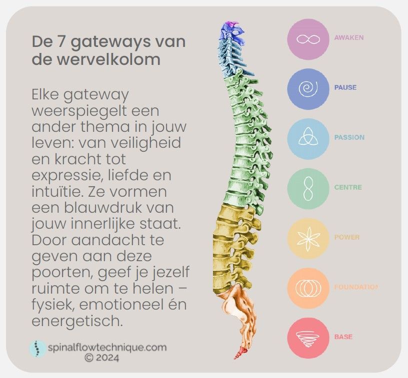 Infographic over de zeven chakra's met een kleurrijke illustratie van de wervelkolom en de bijbehorende energiecentra.