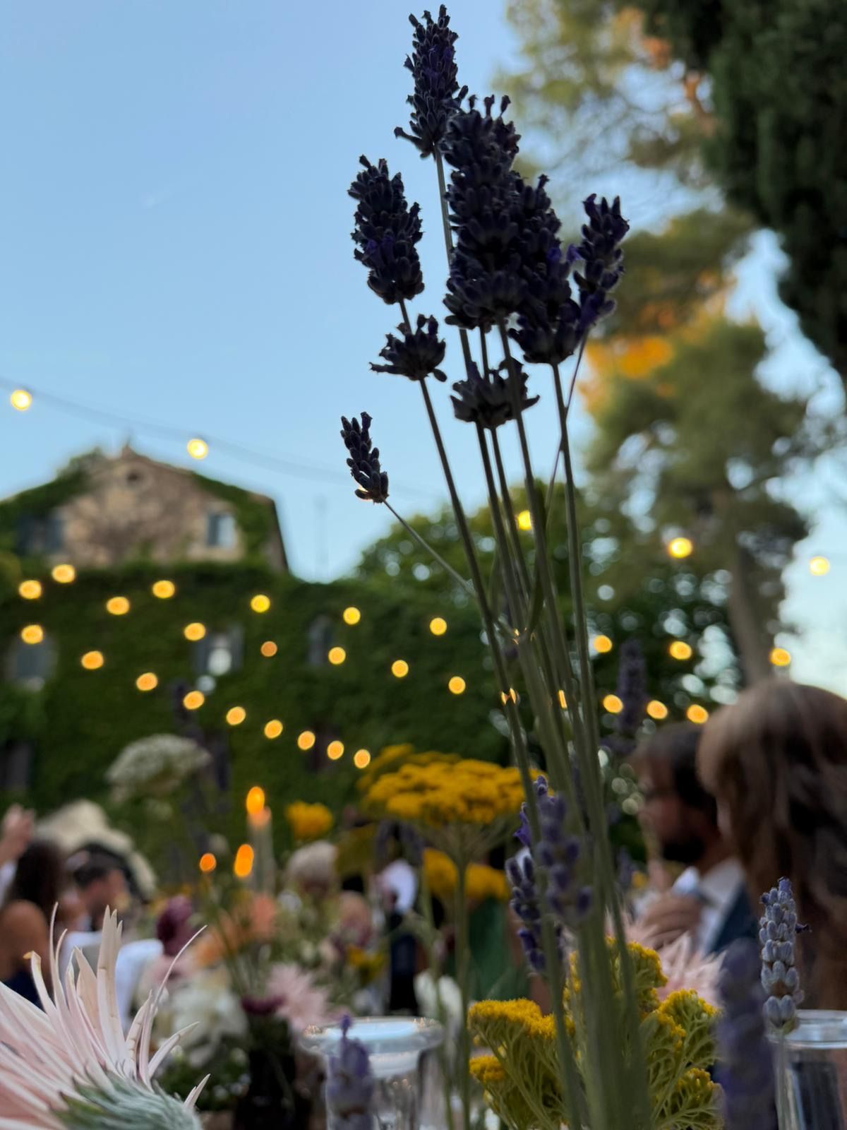 Lavender stems in the foreground at an outdoor evening gathering with warm string lights and blurred people