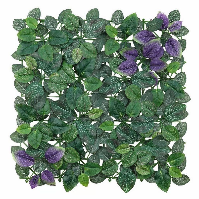 Panel cuadrado de densas hojas de hiedra verde con algunas flores moradas sobre un fondo blanco.