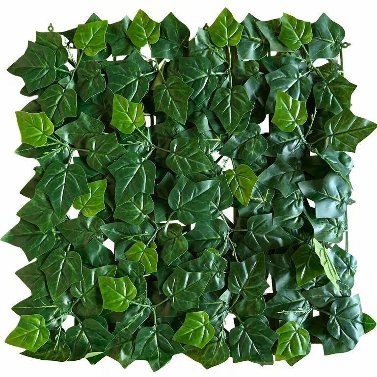 Panel cuadrado de exuberantes hojas de hiedra verde que forman una densa cubierta de pared.