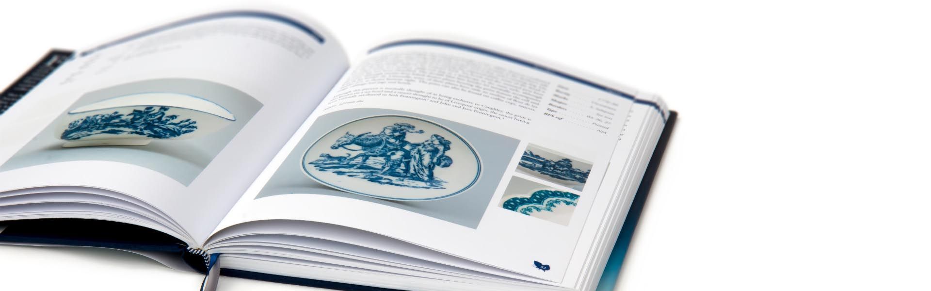 a book is open to a page with a picture of a plate on it
