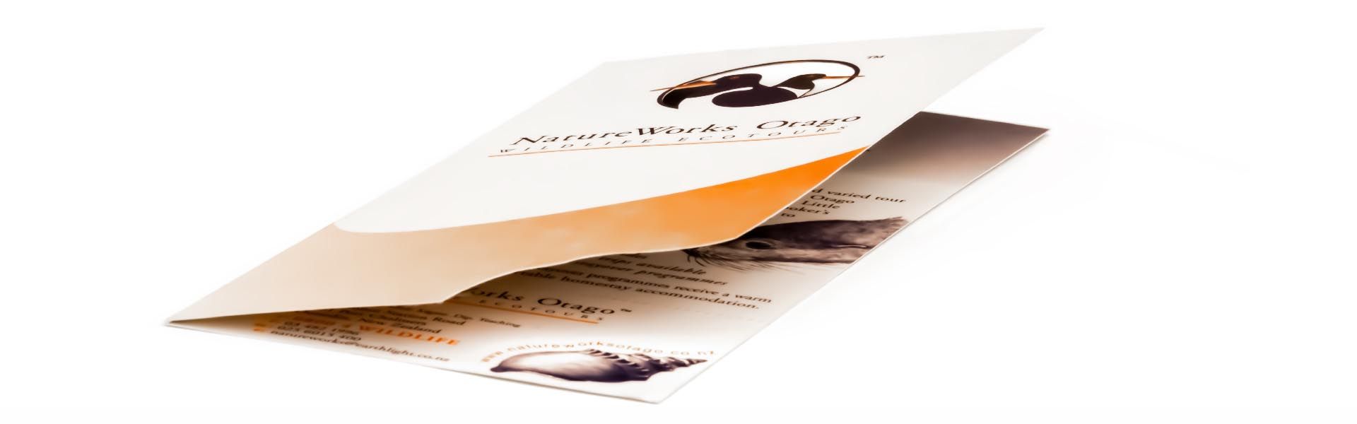 a brochure for natureworks otago wildlife eco tours