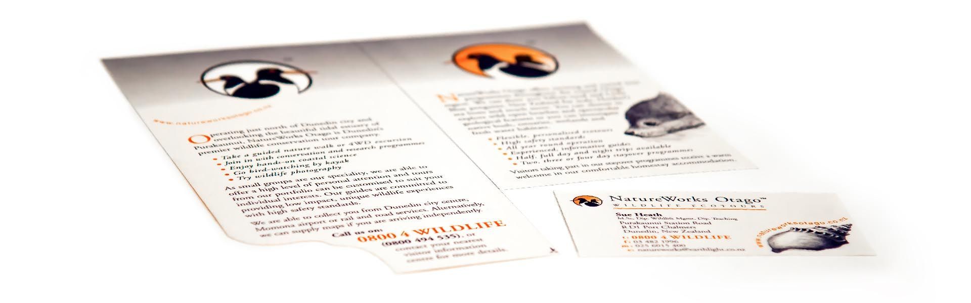 a brochure for natureworks otago wildlife conservation eco tours