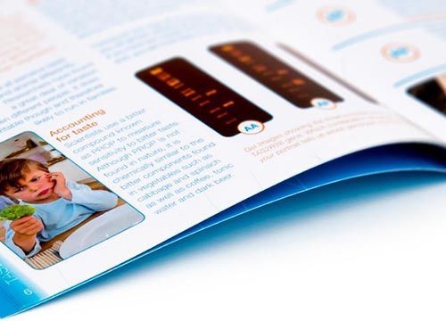 a book is open to a page about accounting for taste .