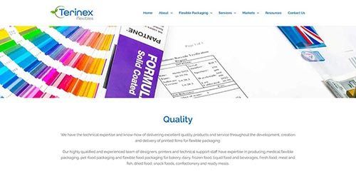 a screenshot of a website for a company called terinex flexibles .