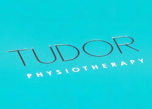 the logo for tudor physiotherapy is on a blue background .