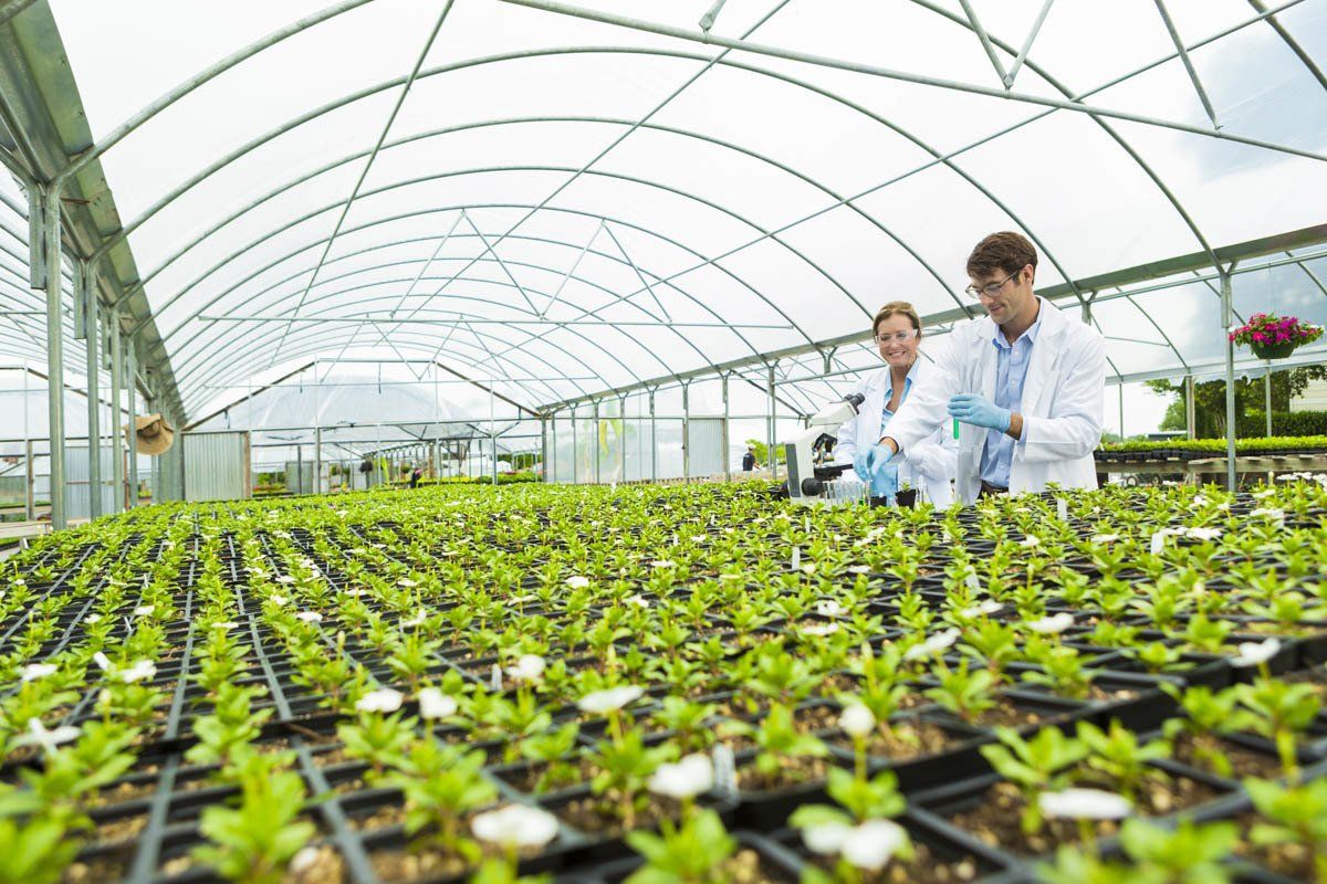 Fornitura GPL per aziende agricole e allevamenti