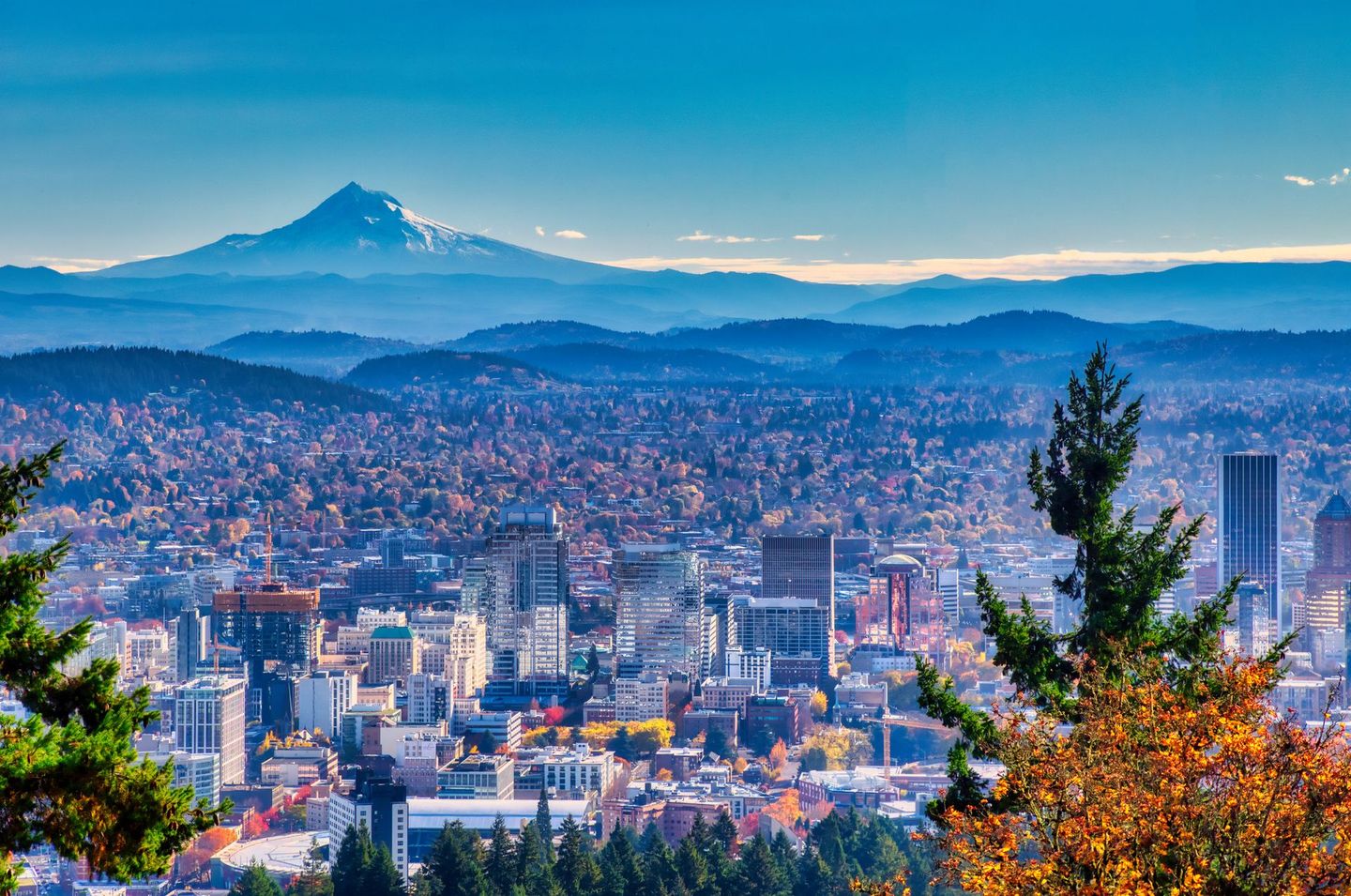 portland photos