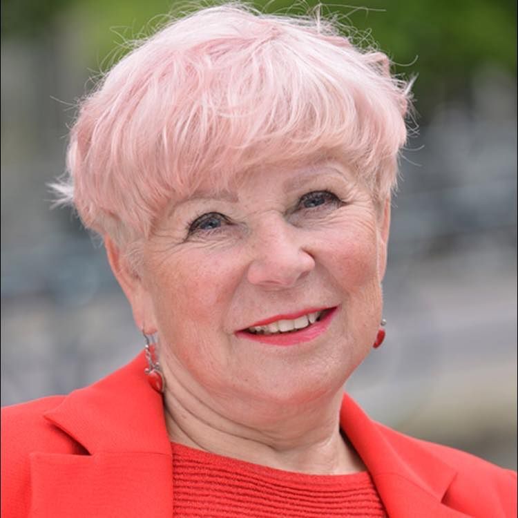 Lise van de Kamp vond mij via een post op LinkedIn van Arthur Umbgrove. Van hem kreeg ze les op de Querido Academie. Ik was gecharmeerd van haar manuscript en heb haar aan redacteur Rebecca van Vuure gekoppeld. Inmiddels is het bijna zover, en gaan we samen op zoek naar een passende uitgever.