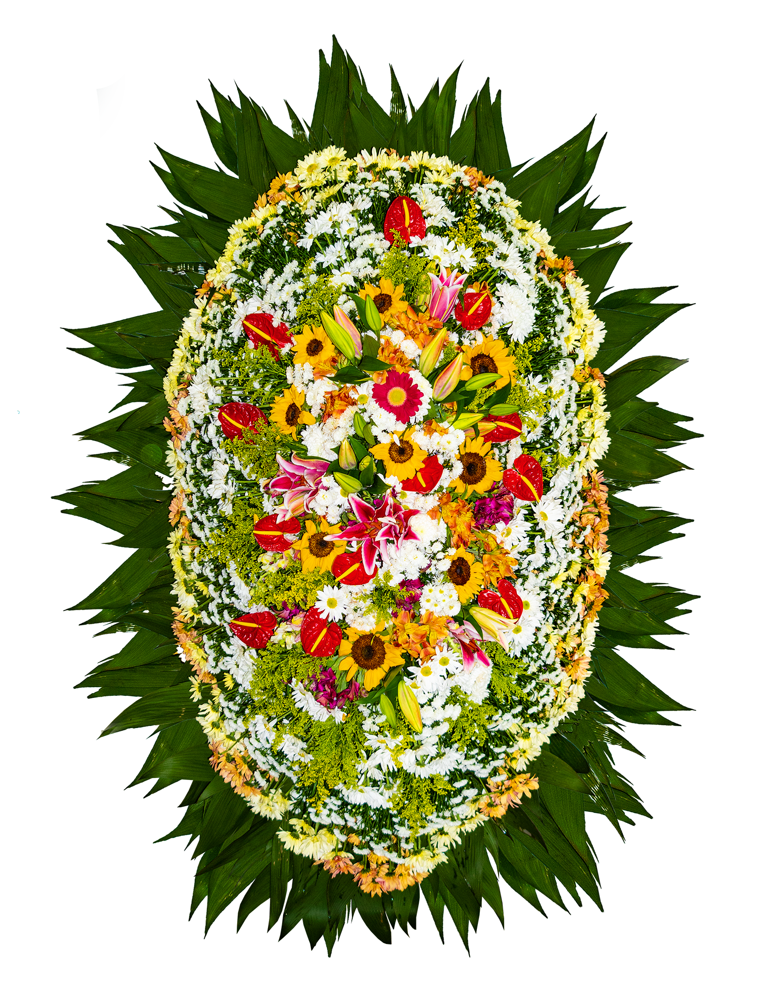 Uma coroa de flores e folhas verdes sobre um fundo branco