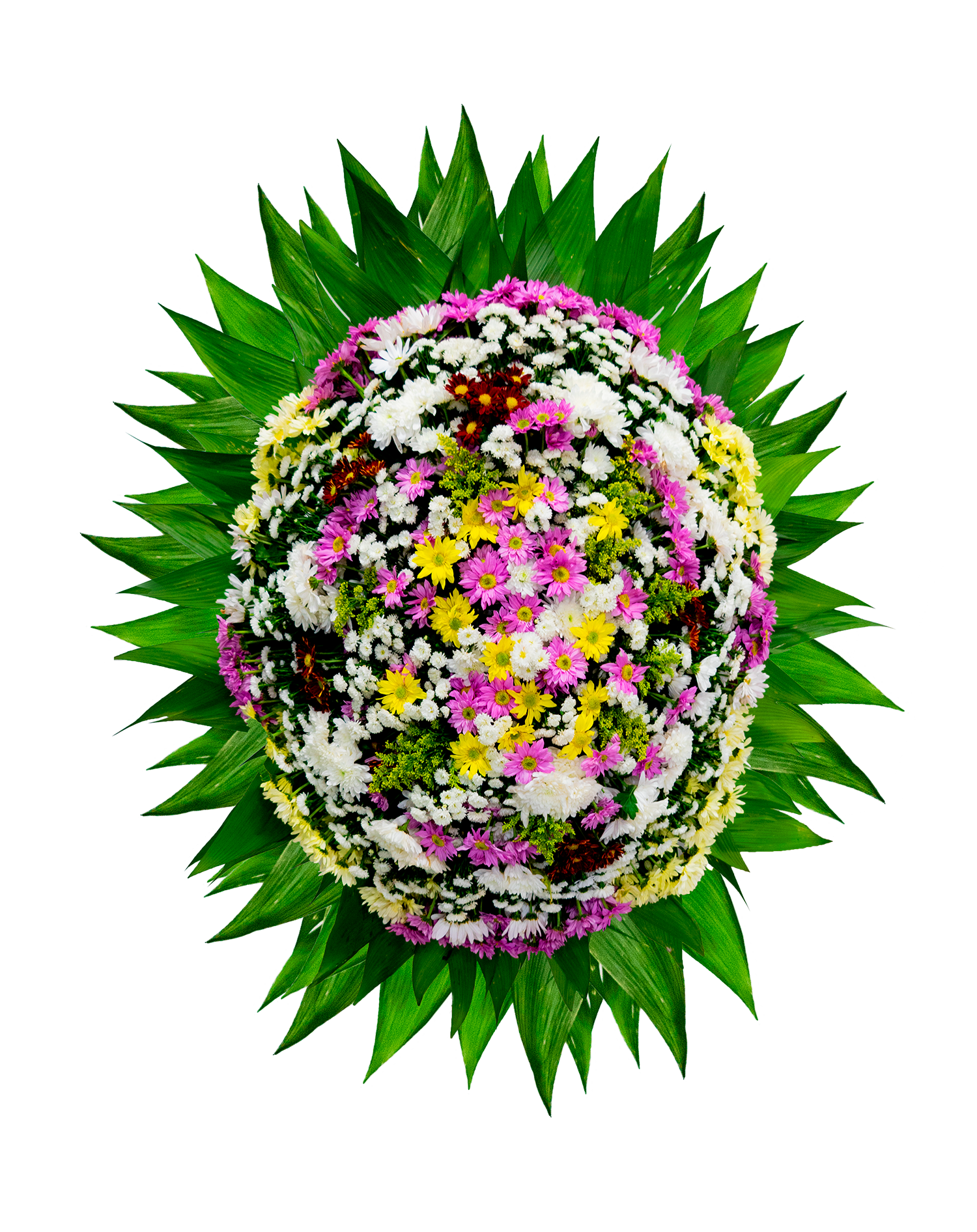 Uma coroa de flores e folhas verdes sobre um fundo branco