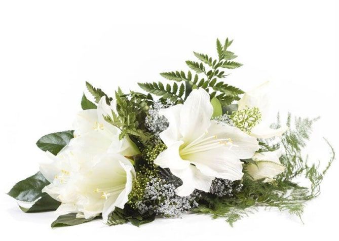 FUNERALES DÍAZ