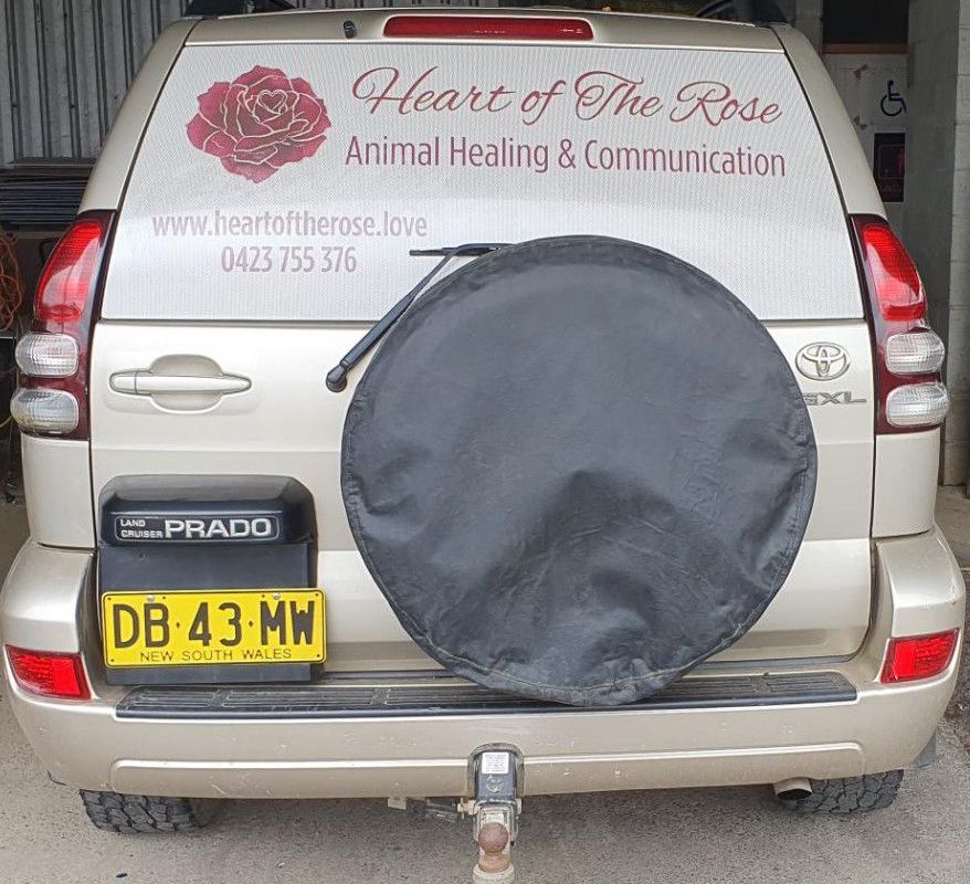 A Van is Parked in a Garage — Print Spot Group in South Murwillumbah, NSW