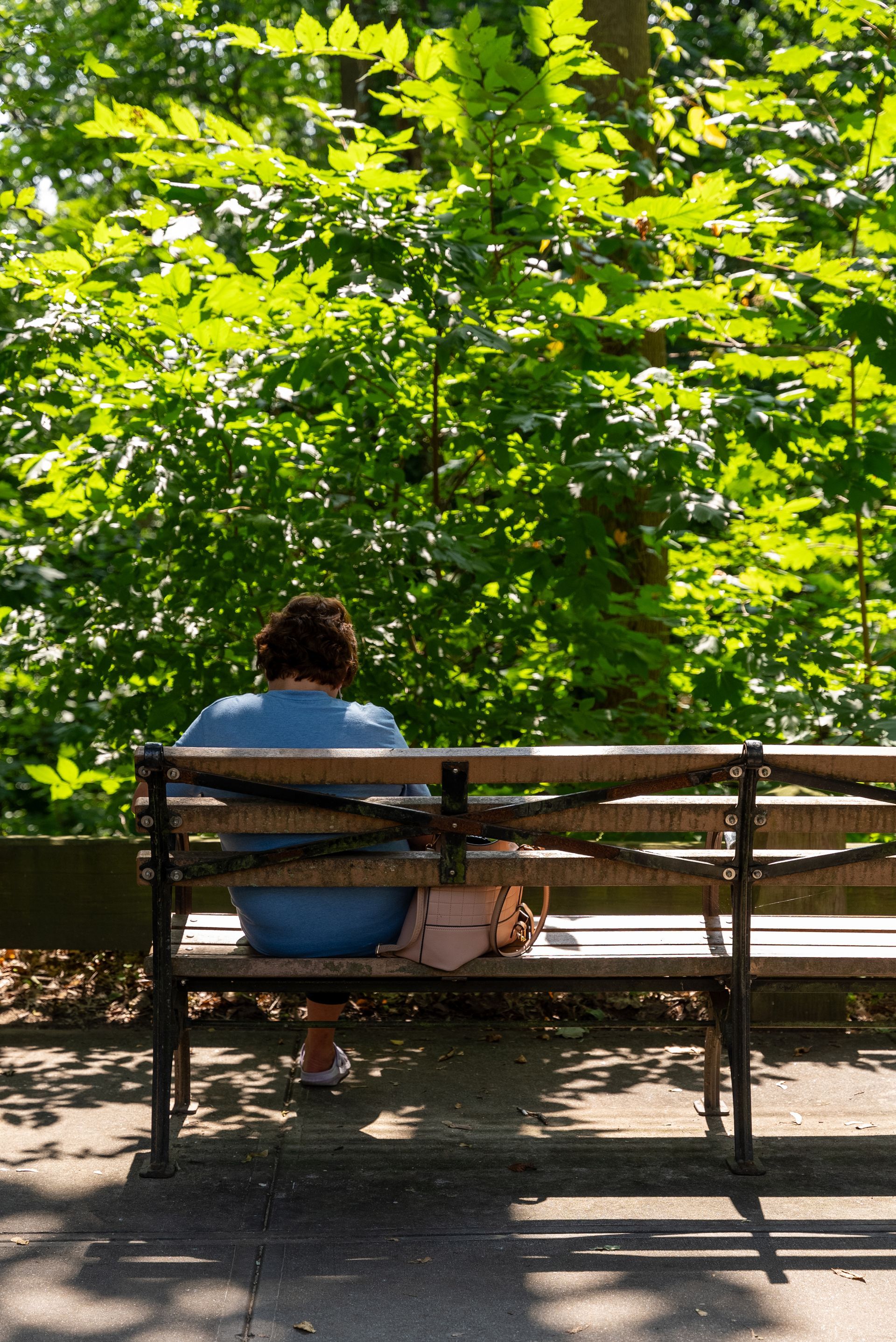A woman is sitting on a park bench looking at the trees.