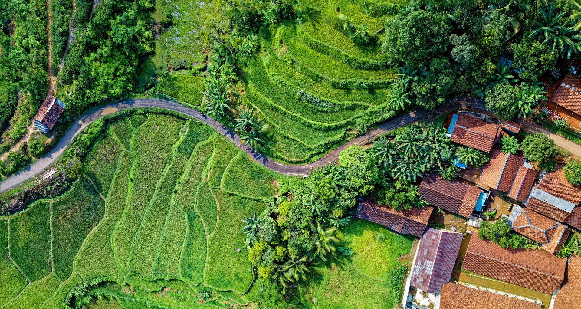indonesia