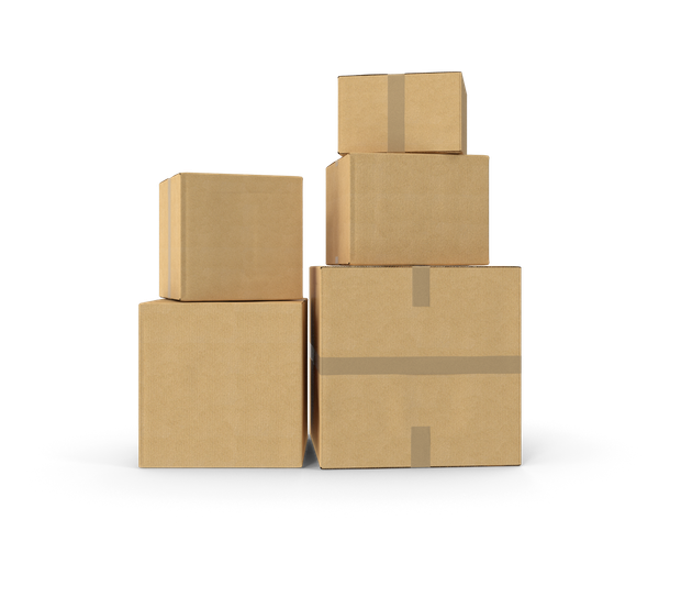 Stanford Moving and Hauling, Soquel CA, Santa Cruz CA, Seabright Santa Cruz CA, Twin Oaks CA, Pleasure Point CA, Capitola CA, Aptos CA, Seacliff CA, La Selva Beach CA, Scotts Valley CA, Felton CA, Lexington Hills CA, Los Gatos CA, San Jose CA, Mountain View CA, Marina CA, Seaside CA Monterey CA, Pacific Grove CA, Carmel-By-The-Sea CA, Movers, Movers Near Me, Soquel Movers, Santa Cruz Movers, Twin Oaks Movers, Pleasure Point Movers, Capitola Movers, Aptos Movers, Seacliff Movers, La Selva Beach Movers, Scotts Valley Movers, Felton Movers, Lexington Hills Movers, Los Gatos Movers, San Jose Movers, Mountain View Movers, Marina Movers, Seaside Movers, Monterey Movers, Pacific Grove Movers, Carmel-By-The-Sea Movers, Moving Company, Soquel Moving Company, Santa Cruz Moving Company, Twin Oaks Moving Company, Pleasure Point Moving Company, Capitola Moving Company, Aptos Moving Company, Seacliff Moving Company, La Selva Beach Moving Company, Scotts Valley Moving Company, Felton Moving Company, Lexington Hills Moving Company, Los Gatos Moving Company, San Jose Moving Company, Mountain View Moving Company, Marina Moving Company, Seaside Moving Company, Monterey Moving Company, Pacific Grove Moving Company, Carmel-By-The-Sea Moving Company, Residential Moving, Commercial Moving, Commercial Moving Company, Office Moving, Local Moving Company, Local Movers, Long Distance Moving, Long Distance Movers, How much does it cost to move, Moving Costs, Full Service Moves, House Movers, Apartment Movers, Office Movers, Packing Services, Wrapping Services, Furniture Moving, Transportation, Loading, Unloading, White Glove Moving Services, Moving Company for Stagers, Moving Company for Real Estate, Hauling, Hauling Near Me, Residential Hauling, Commercial Hauling, Soquel Hauling, Santa Cruz Hauling, Twin Oaks Hauling, Pleasure Point Hauling, Capitola Hauling, Aptos Hauling, Seacliff Hauling, La Selva Beach Hauling, Scotts Valley Hauling, Felton Hauling, Lexington Hills Hauling, Los Gatos Hauling, San Jose Hauling, Mountain View Hauling, Marina Hauling, Seaside Hauling, Monterey Hauling, Pacific Grove Hauling, Carmel-By-The-Sea Hauling, Hauling Appliances, Piano Hauling, Furniture Hauling, Construction Debris Hauling, Construction Clean Up, Landscape Debris Hauling, Project Management, Storage, Vault Storage, Vault Storage Unit, Vault Storage Near Me, Soquel Vault Storage, Santa Cruz Vault Storage, Twin Oaks Vault Storage, Pleasure Point Vault Storage, Capitola Vault Storage, Aptos Vault Storage, Seacliff Vault Storage, La Selva Beach Vault Storage, Scotts Valley Vault Storage, Felton Vault Storage, Lexington Hills Vault Storage, Los Gatos Vault Storage, San Jose Vault Storage, Mountain View Vault Storage, Marina Vault Storage, Seaside Vault Storage, Monterey Vault Storage, Pacific Grove Vault Storage, Carmel-By-The-Sea Vault Storage